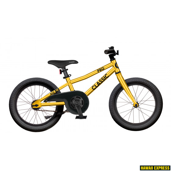 16A-1-GLD-21-560x560.jpg CLASSIC 16 PRO - Image 1