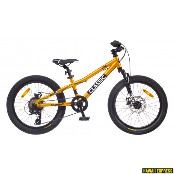 20BA-6SD-COL1-22-560x560.jpg 22 PRO 20 DISC GOLD Classic - Image 1