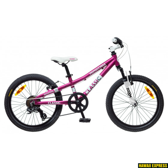 20GA-6S-17-560x560.jpg 17 PRIMADONNA 20 20" lillā classic - Image 1