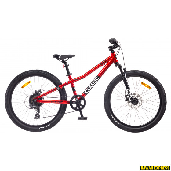 24BA-7SD-22-560x560.jpg PRO 24 DISC - Image 1