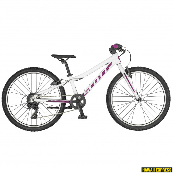 270056-560x560.jpg 19 CONTESSA 24 RIGID FORK 24" scott - Image 1