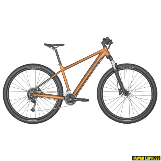 291100-560x560.jpg REVOX 4 BRONZE - Image 1