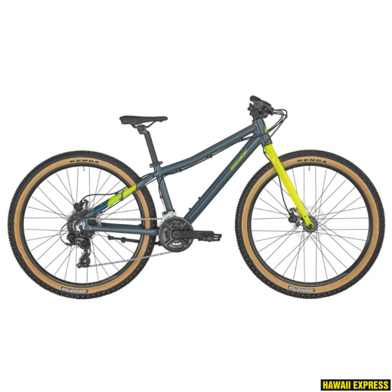 291113-560x560.jpg 24 REVOX 26 LITE DARK Blue/Yellow Bergamont - Image 1