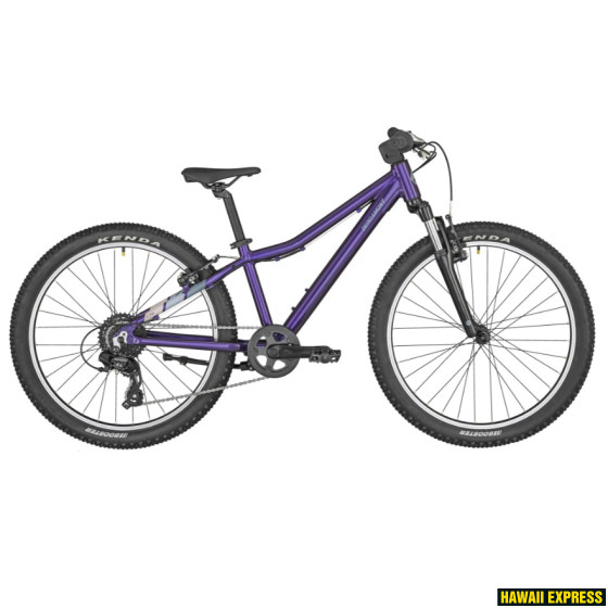 291118-560x560.jpg 24 REVOX 24 PURPLE 24" lillā bergamont - Image 1