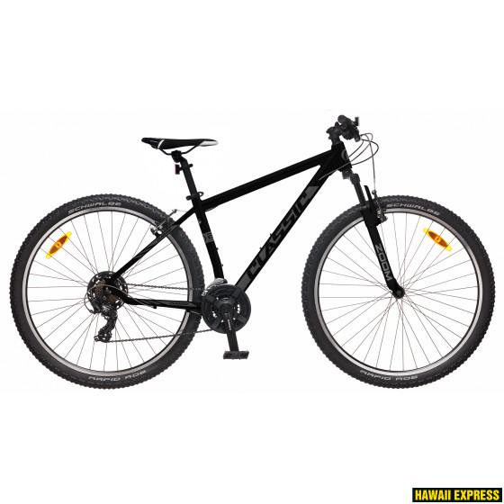 29MA-24S-21-560x560.jpg TEAM 29 24k - Image 1