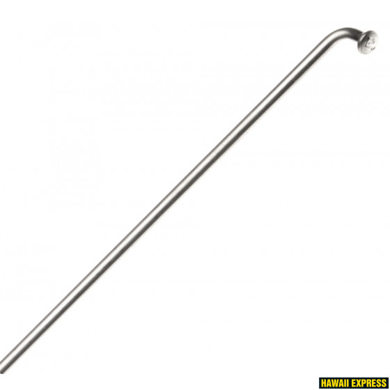 SCH020290N0100-560x560.jpg Spokes 2,0x290mm Champion - Image 1