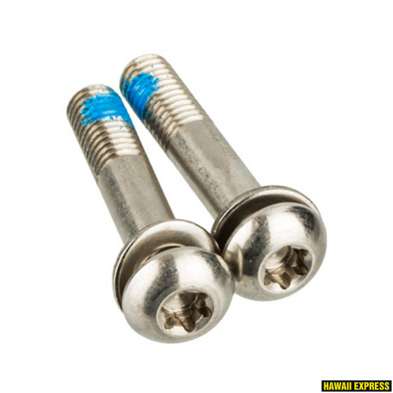 00.5318.005.010-560x560.jpg Bracket Mounting Bolts - Stainless T25 42mm (2 Pcs) - Flat Mount Caliper - Image 1