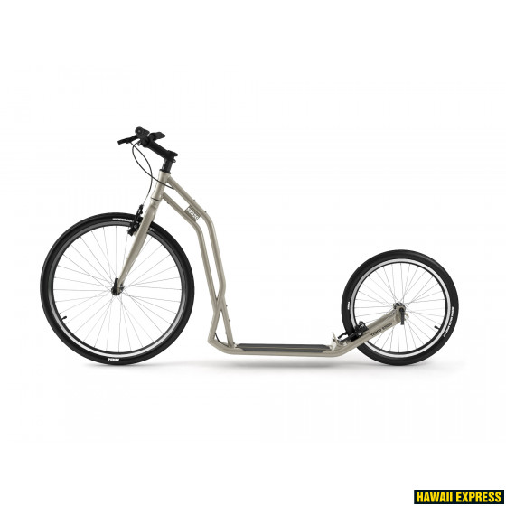 12402silvergold-560x560.jpg YEDOO S2620 - Image 1
