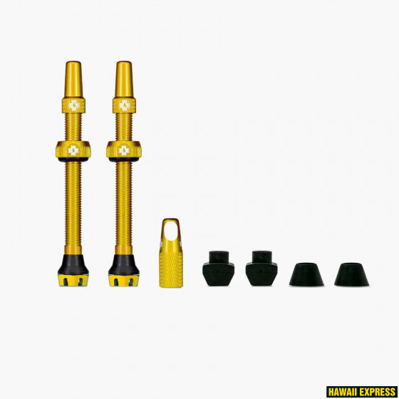 20436-560x560.jpg Tubeless Valves/60mm/Gold V2 - Image 1