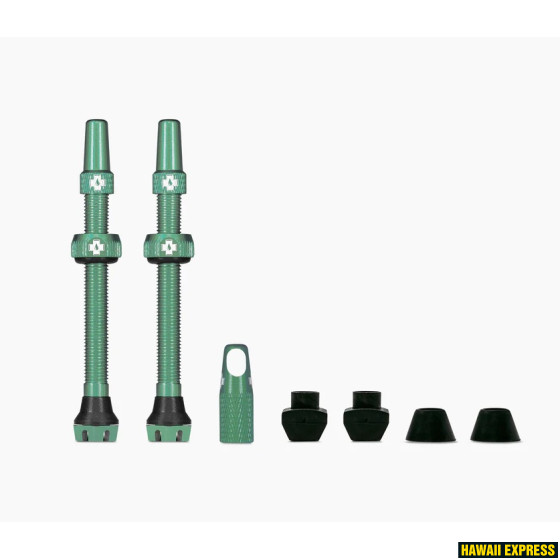 20552-560x560.jpg Tubeless Valves/60mm/Turquoise V2 - Image 1
