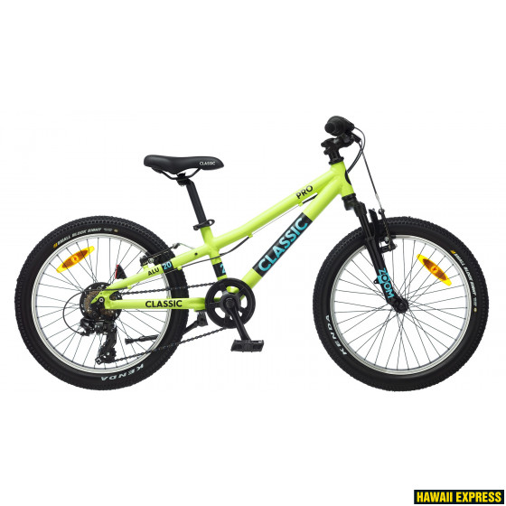 20BA-6S-20-560x560.jpg PRO 20 - Image 1