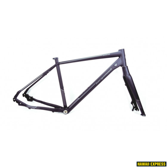 267132-560x560.jpg MY18 BGM Frameset Vitess N8 Belt Gent - Image 1