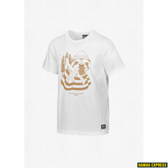 MTS531-A-560x560.jpg SLOTH - Image 1