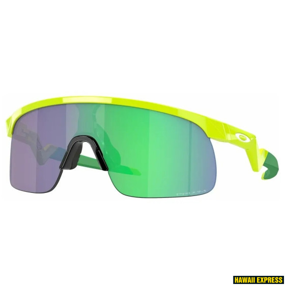 OJ9010-06-560x560.jpg RESISTOR POLARIZED WHITE w/ PRIZM FIELD JR - Image 1
