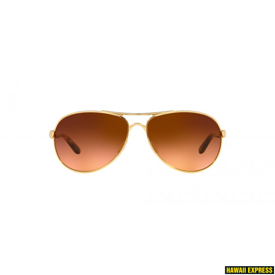 OO4079-4159-560x560.jpg FEEDBACK POLISHED GOLD w/ PRIZM BROWN GRADIENT - Image 1