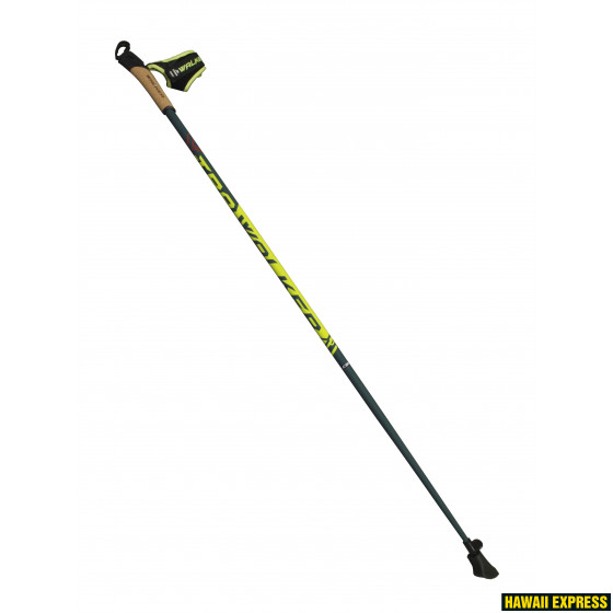 W-XTRA-YG-560x560.jpg XTRA - Image 1