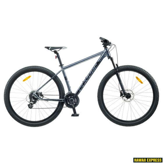 29MA-24SD-COL1-23-560x560.jpg 23 PRO 29 24k 29"/XL SILVER classic - Image 1