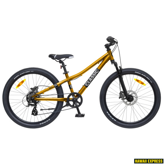 24A-8SD-26-560x560.jpg PRO 24+ - Image 1