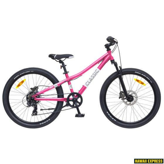24AG-7SD-6-560x560.jpg PRO 24 - Image 1